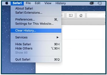 safari image 1.png