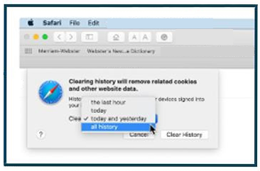 safari image 2.png